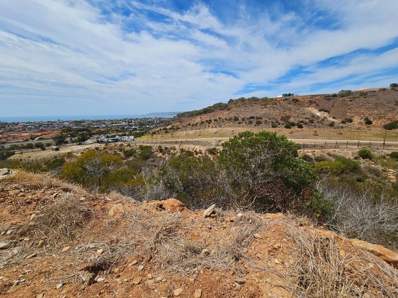 0 Bedroom Property for Sale in Menkenkop Western Cape